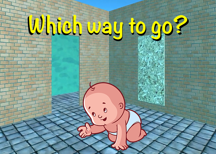 Which way will your baby go?